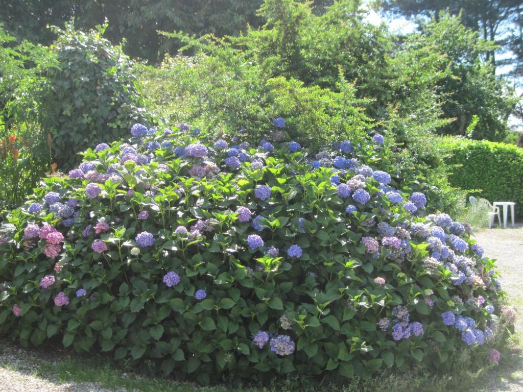 Le Relais De Porz Morvan Plomodiern 외부 사진